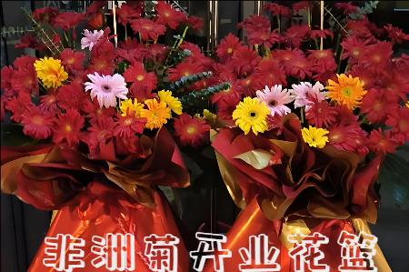 安康宁陕县开业花篮